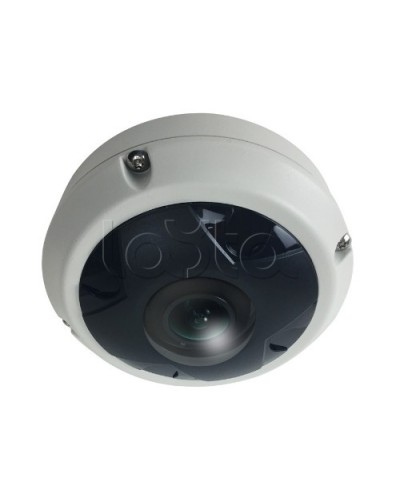 IP-камера видеонаблюдения купольная EverFocus ACE-KU89F в Сызрани IP-камеры Pintop.ru