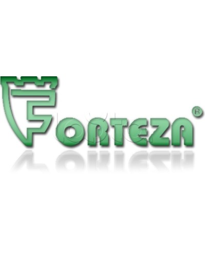 Плата сменная Forteza Плата БГр-4 в Сызрани Устройства защиты операционных процессоров (ОПС) Pintop.ru
